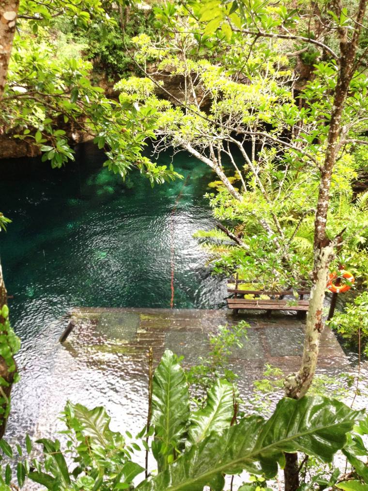 12239267_10153752805027996_6676242654518652015_o