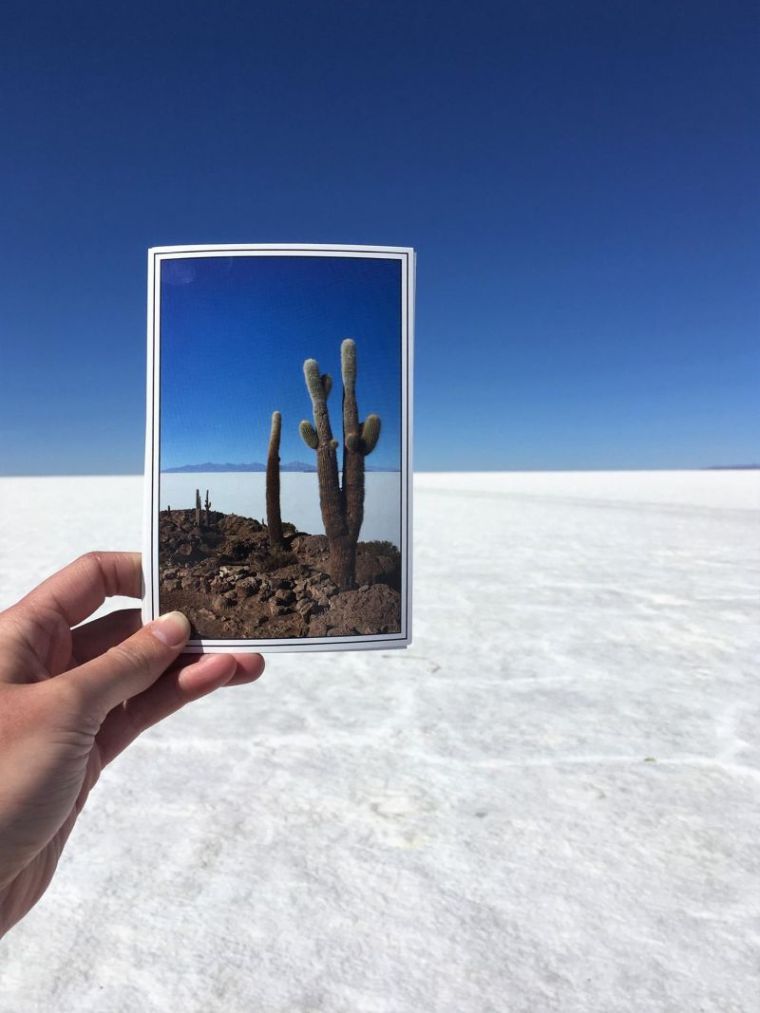 20989048_10155707526937996_8984465319199878328_o