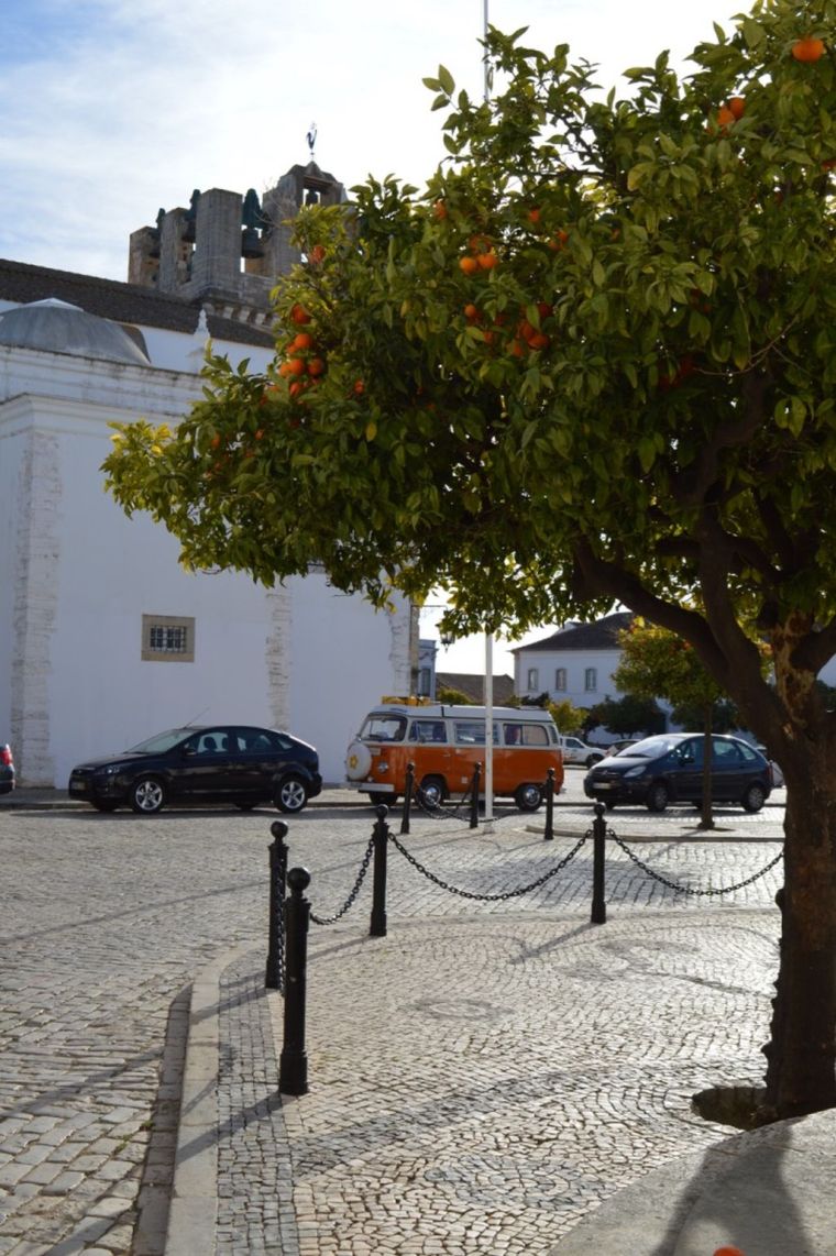 UNADJUSTEDNONRAW_thumb_8477