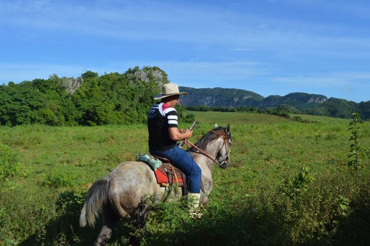 vinales_caballo