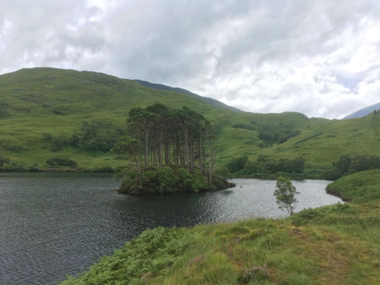 38736431_10156675692367996_6713222887978827776_o